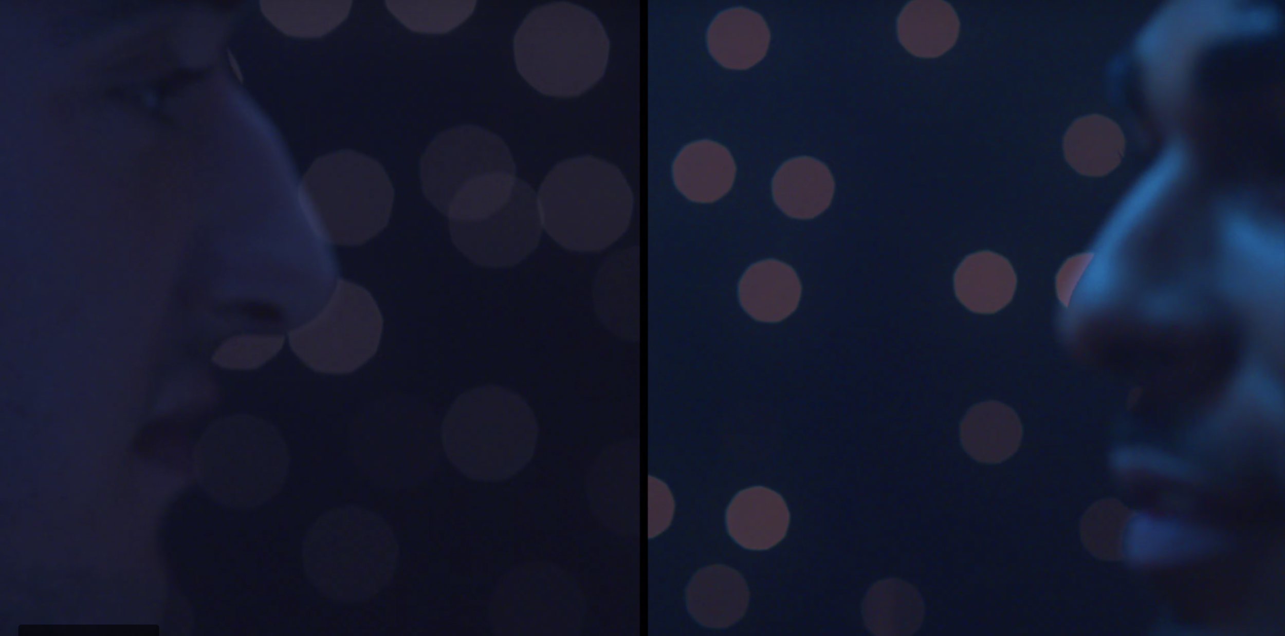 Screen Shot 2019-10-09 at 12.11.25 PM.png