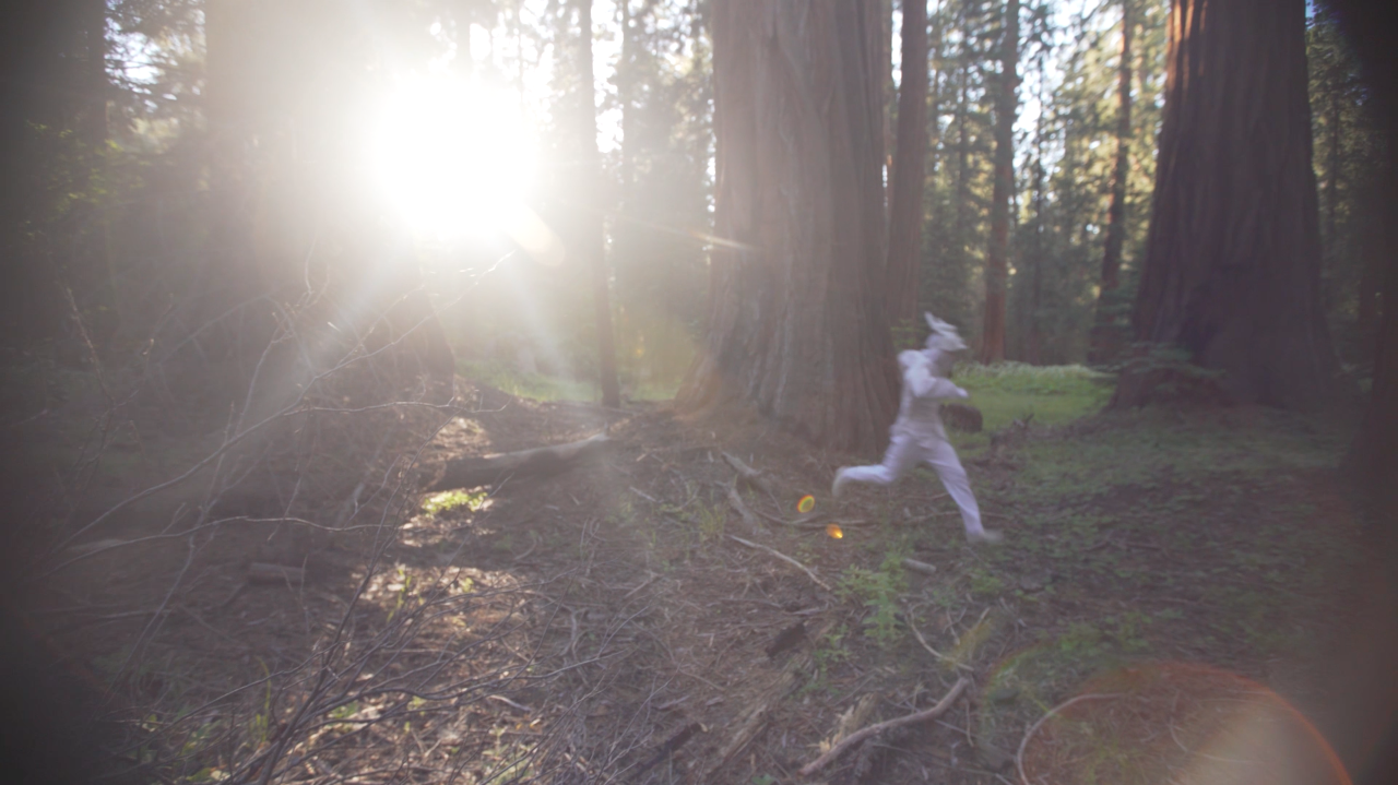 Screen Shot 2017-10-09 at 10.45.58 AM.png