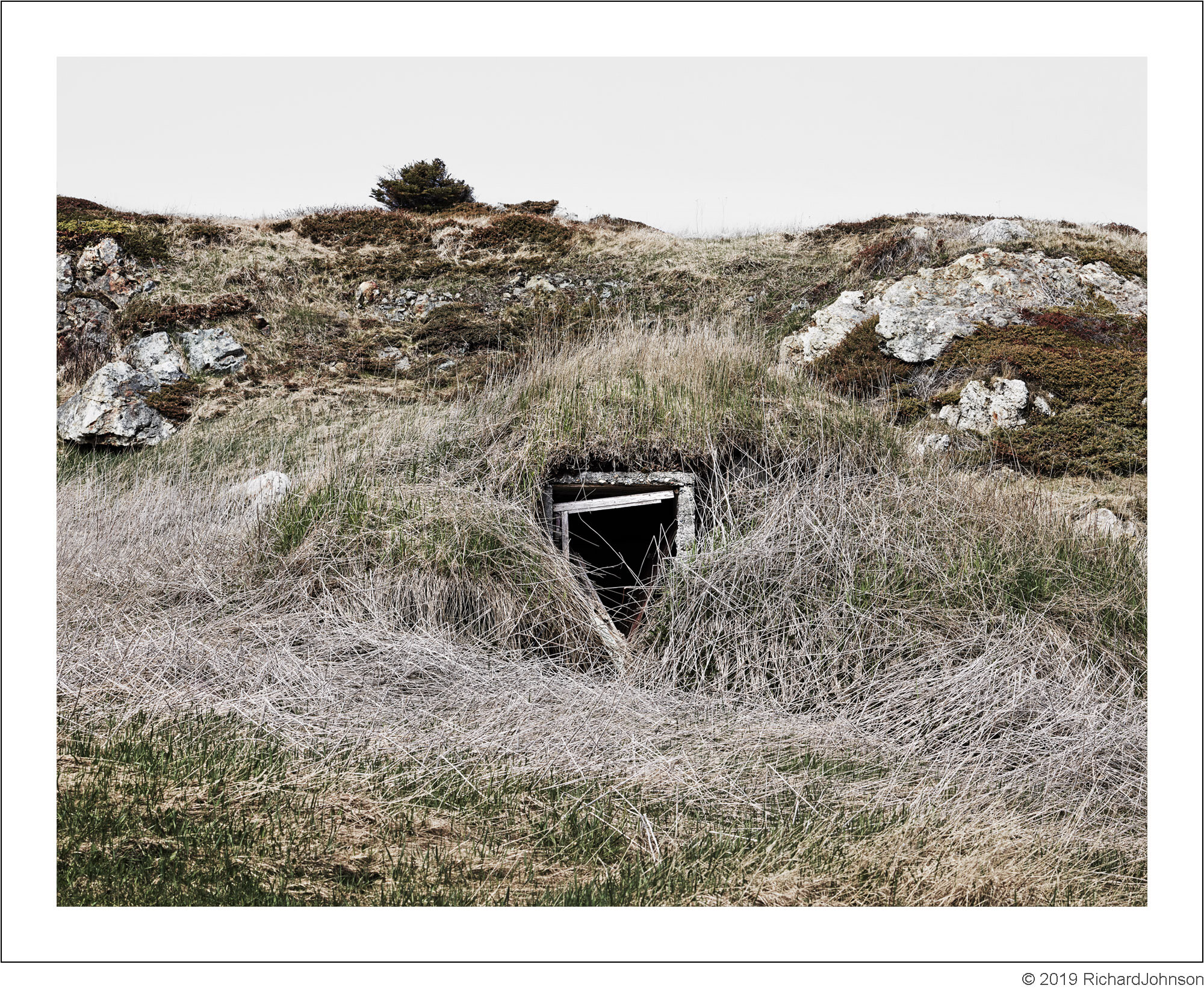 Root Cellar # 78 - Bayview St, Gillard's Cove, Newfoundland, Canada, 2018