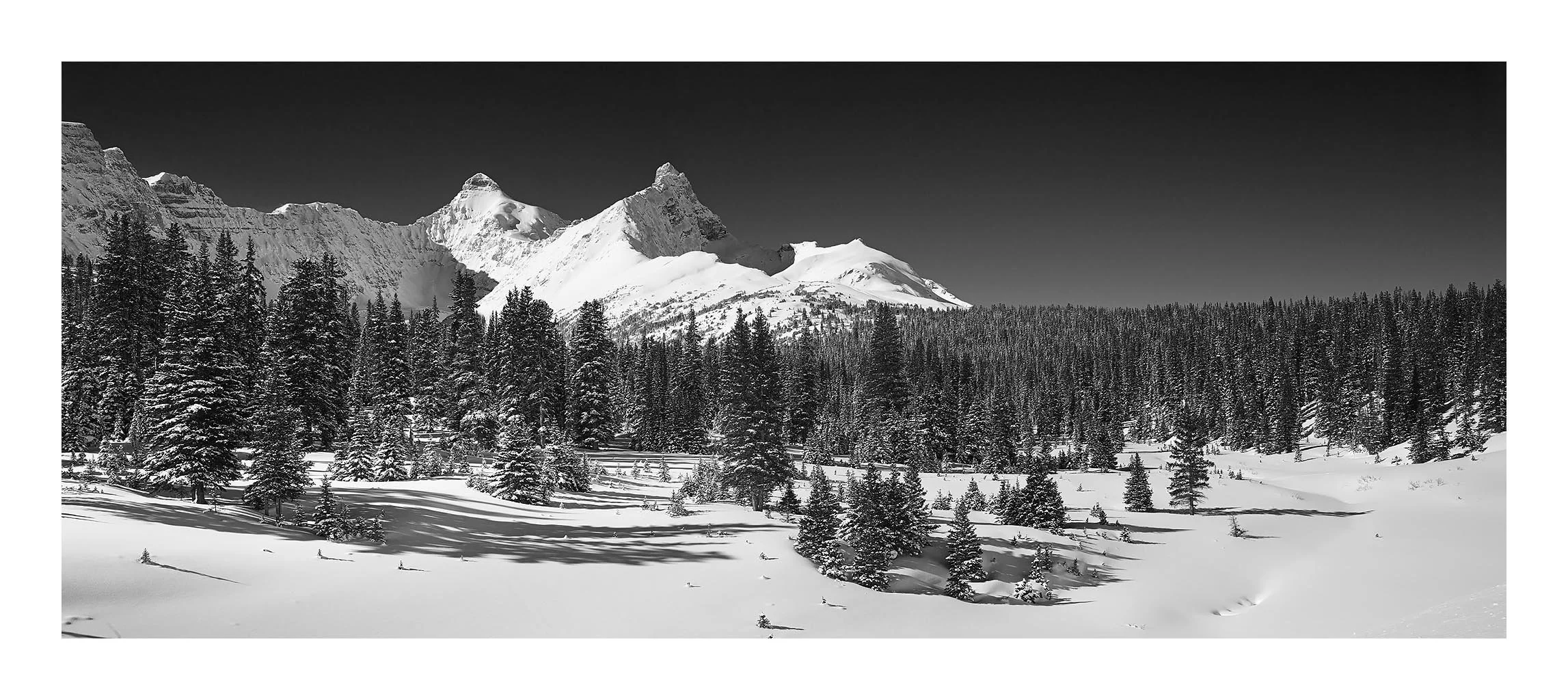 Ice Fields Parkway #04, Alberta, Canada, 2011
