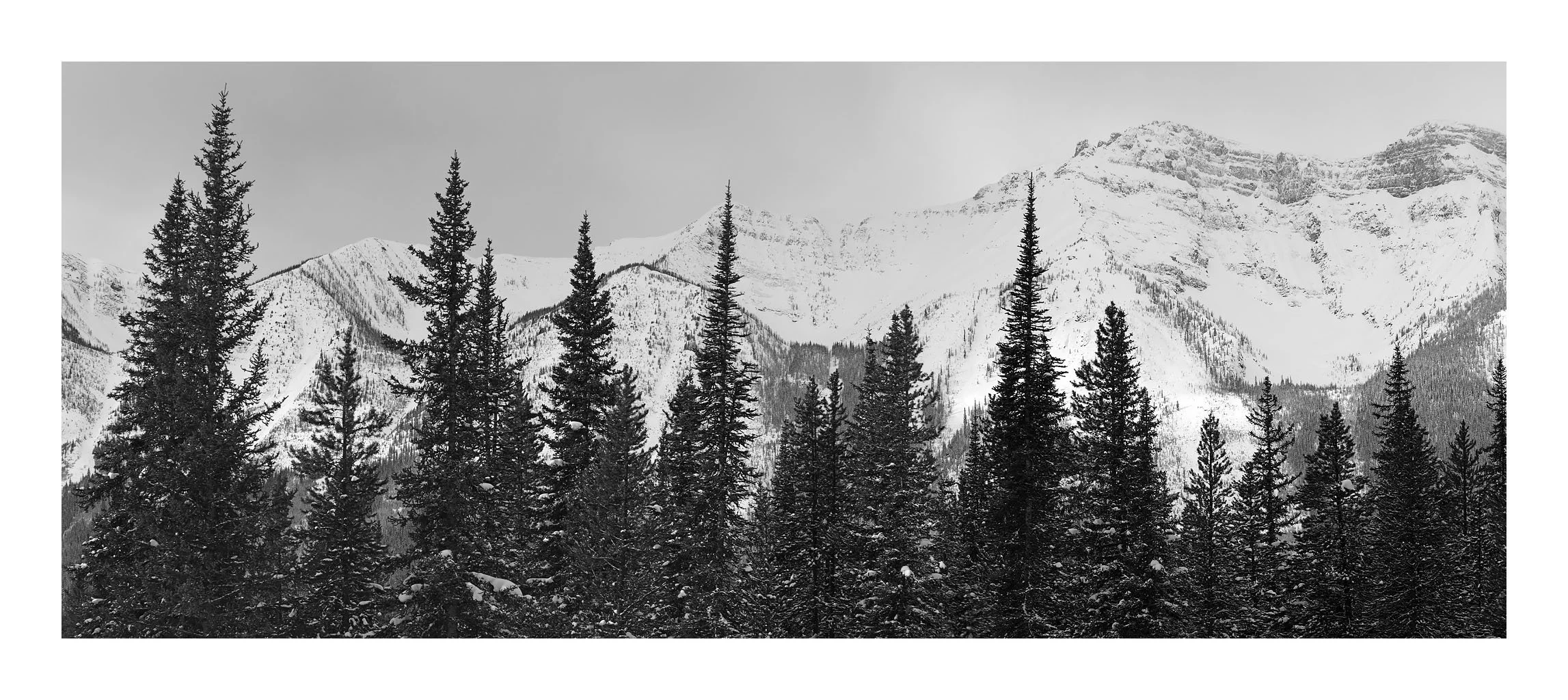 Ice Fields Parkway #09, Alberta, Canada, 2011