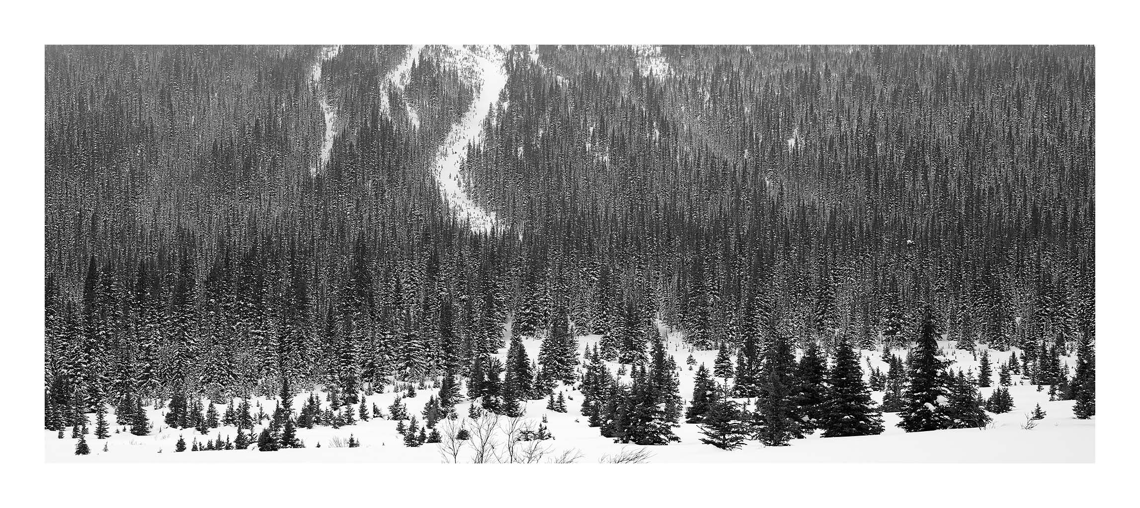 Ice Fields Parkway #10, Alberta, Canada, 2011