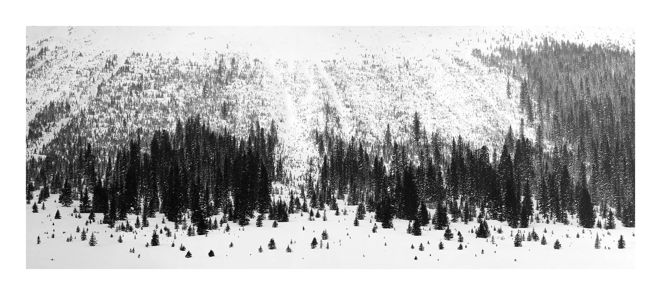 Ice Fields Parkway #11, Alberta, Canada, 2011