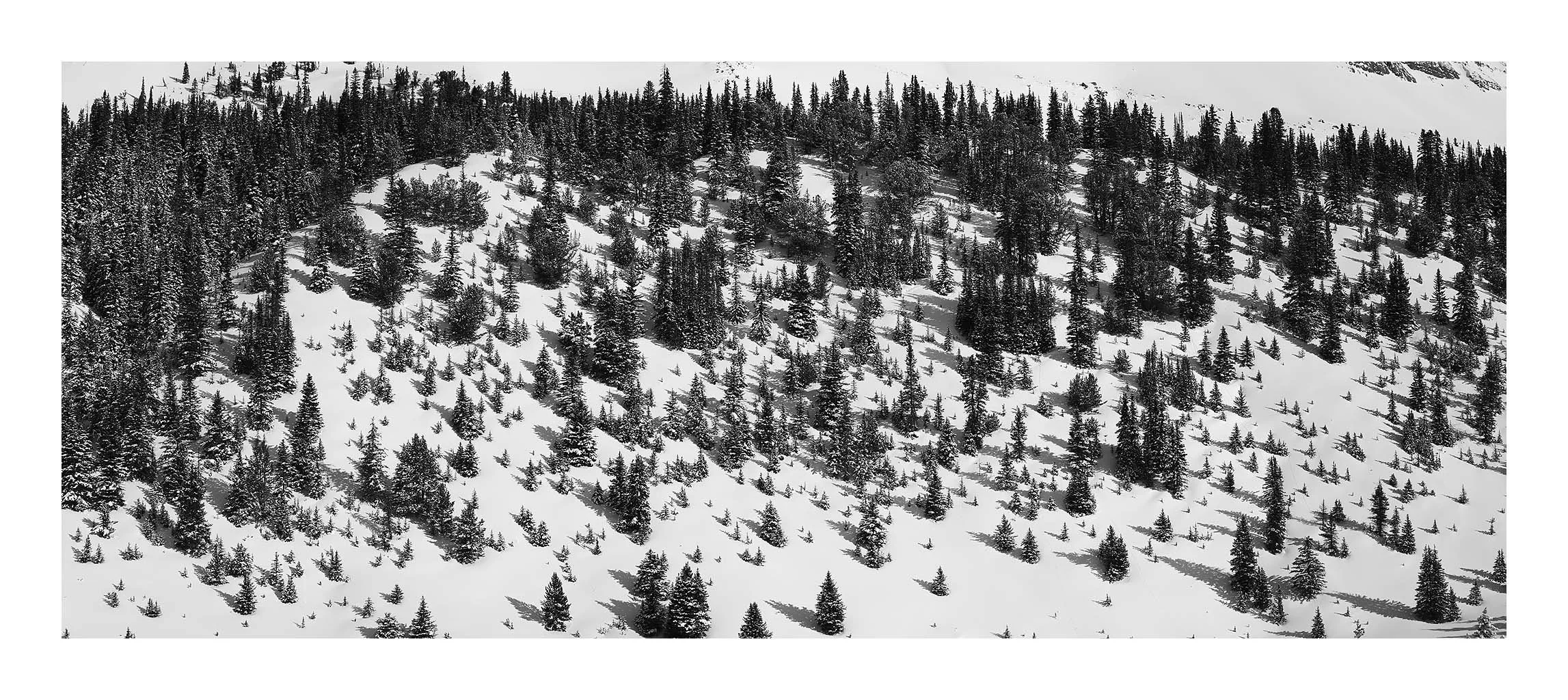 Ice Fields Parkway #13, Alberta, Canada, 2011
