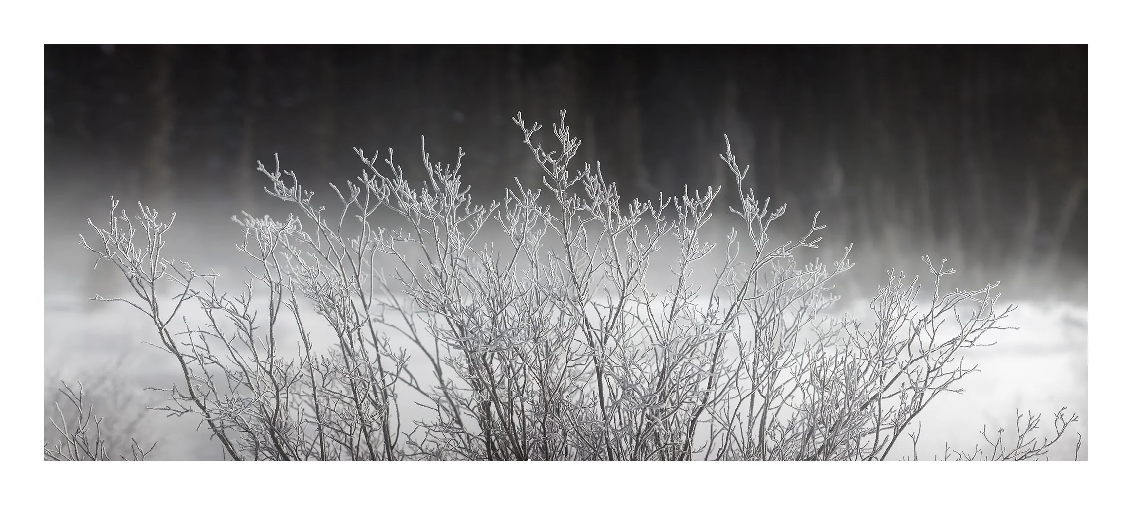 Ice Fields Parkway #15, Alberta, Canada, 2011