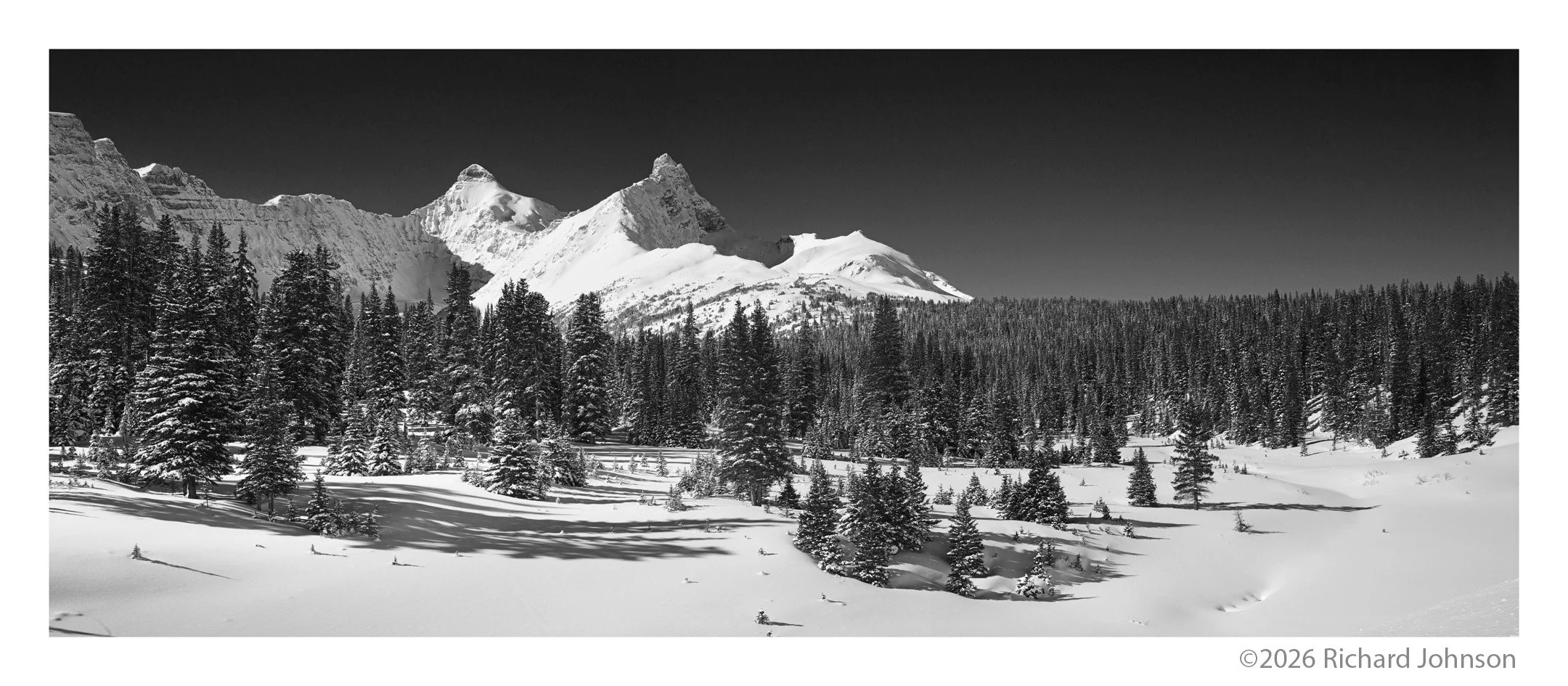 Ice Fields Parkway #04, Alberta, Canada, 2011