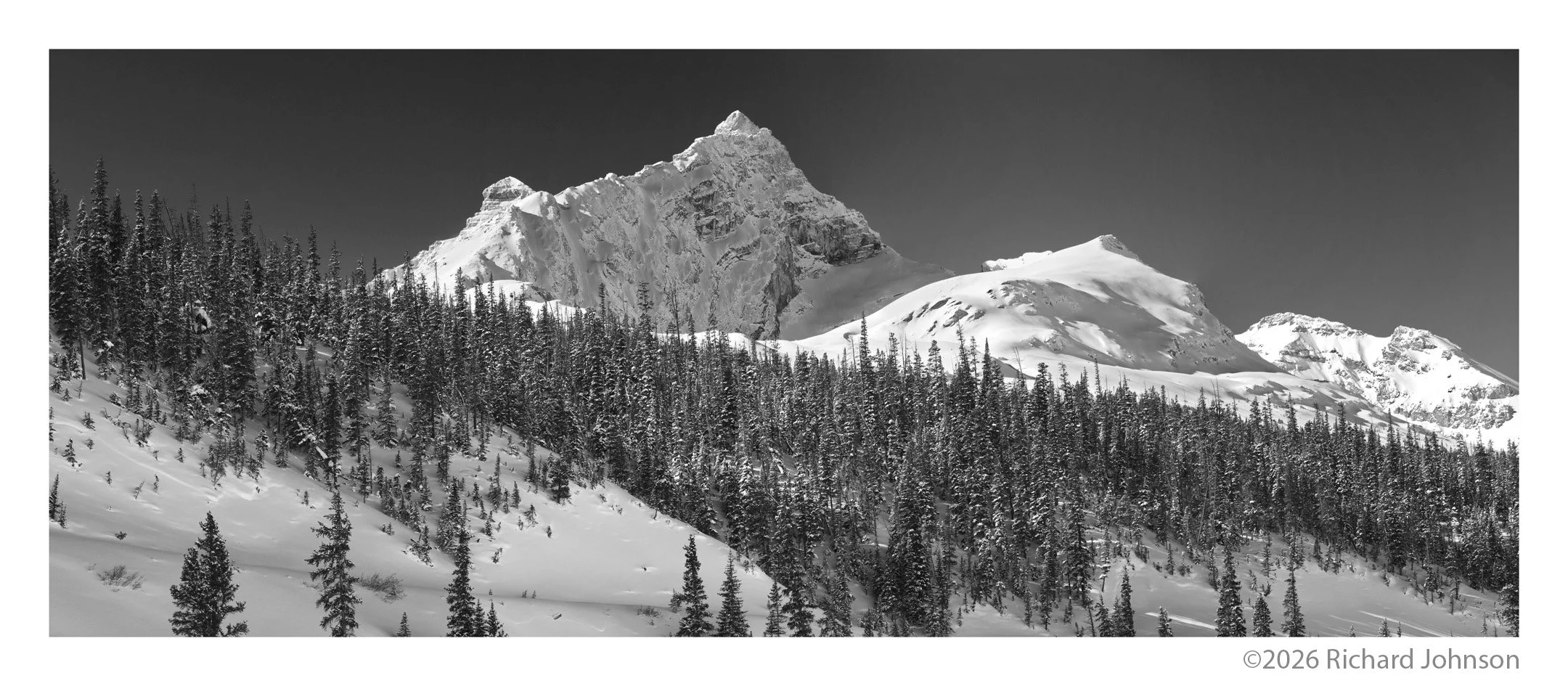 Ice Fields Parkway #05, Alberta, Canada, 2011