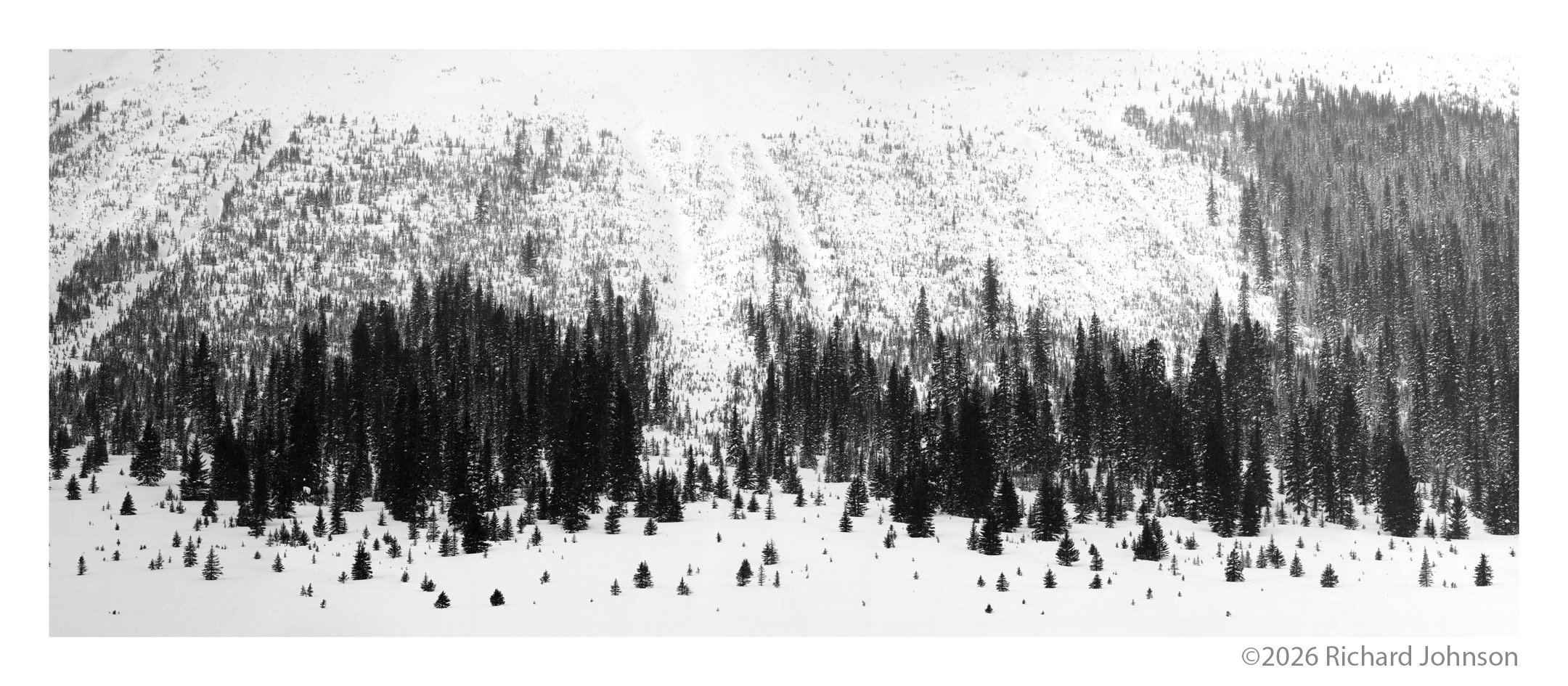 Ice Fields Parkway #11, Alberta, Canada, 2011