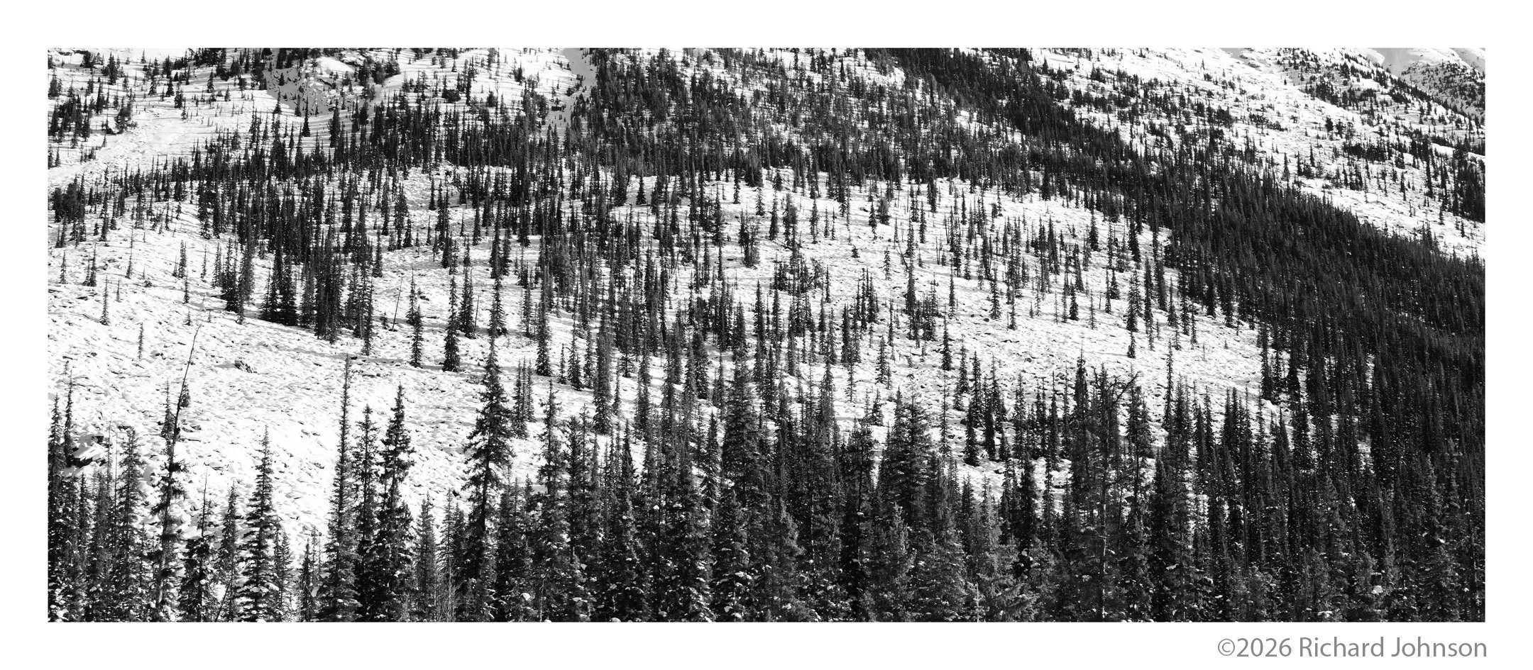 Ice Fields Parkway #12, Alberta, Canada, 2011