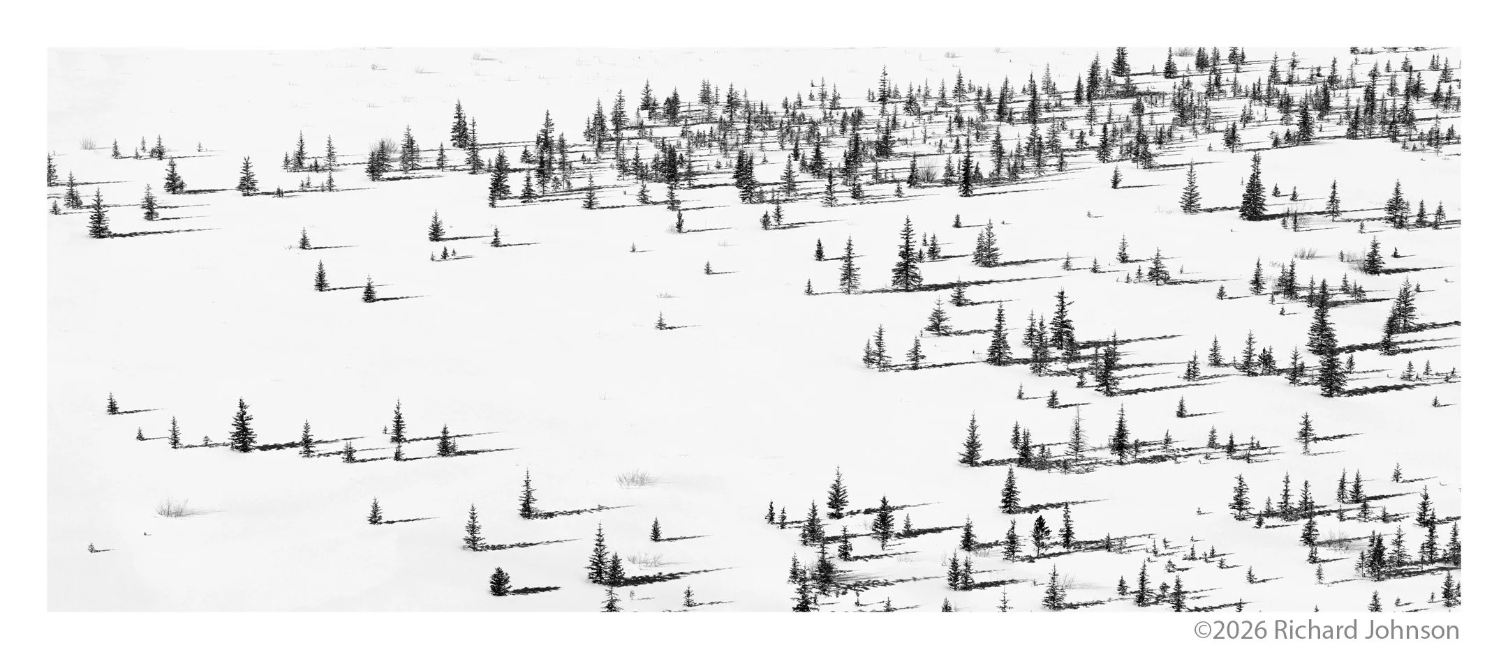 Ice Fields Parkway #14, Alberta, Canada, 2011