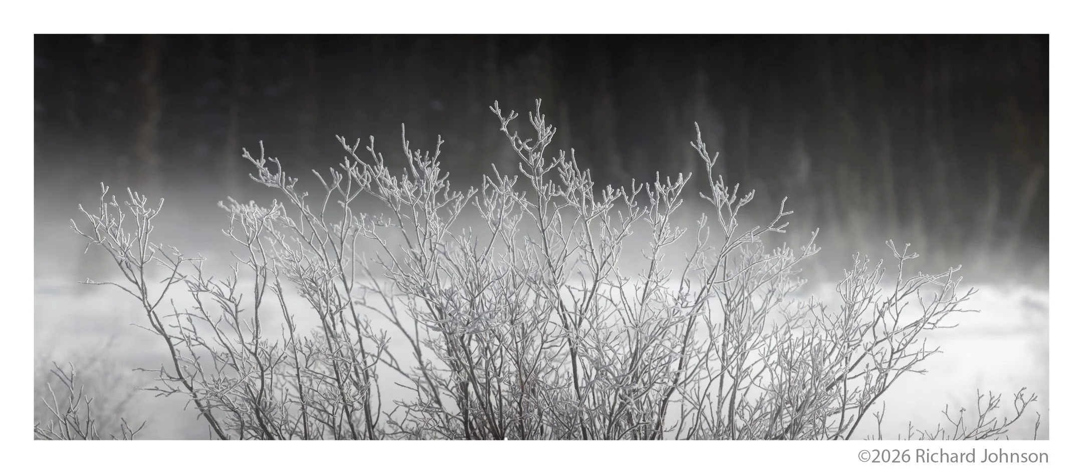 Ice Fields Parkway #15, Alberta, Canada, 2011