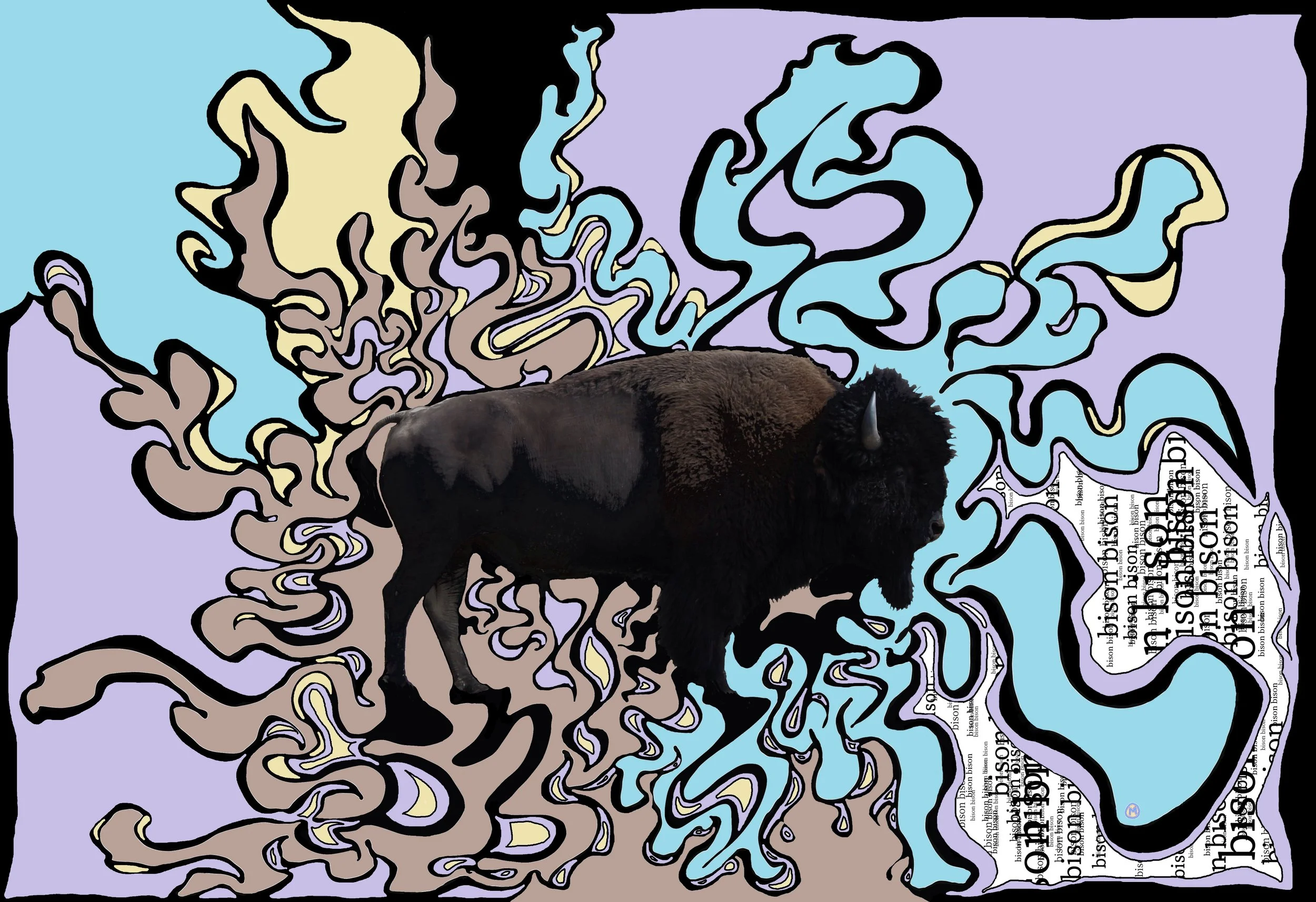 Bison Bison