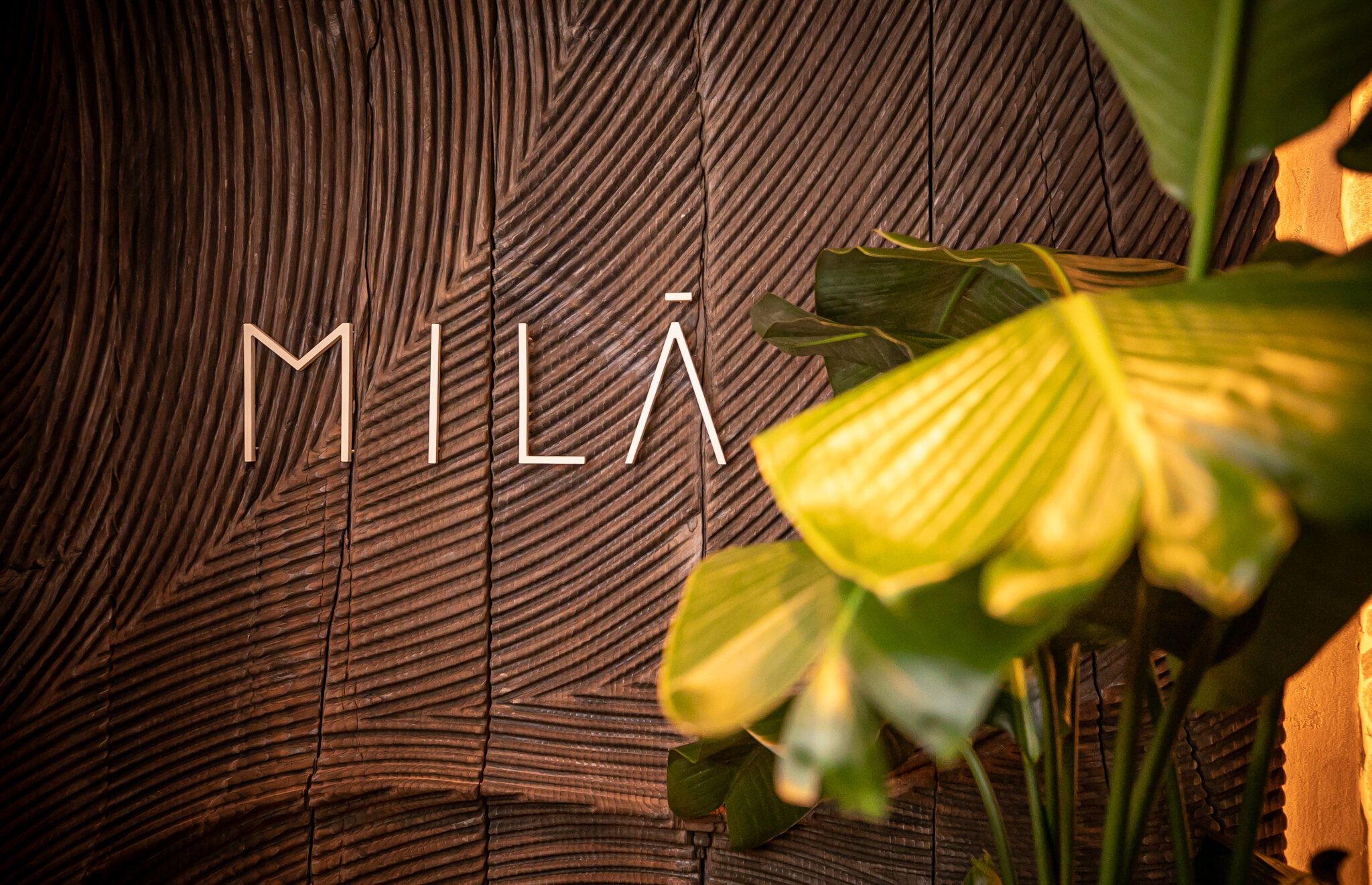 MILA Miami event venues Private dining in Miami — Mila Miami