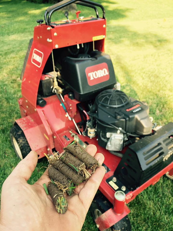 Fall Lawn Maintenance