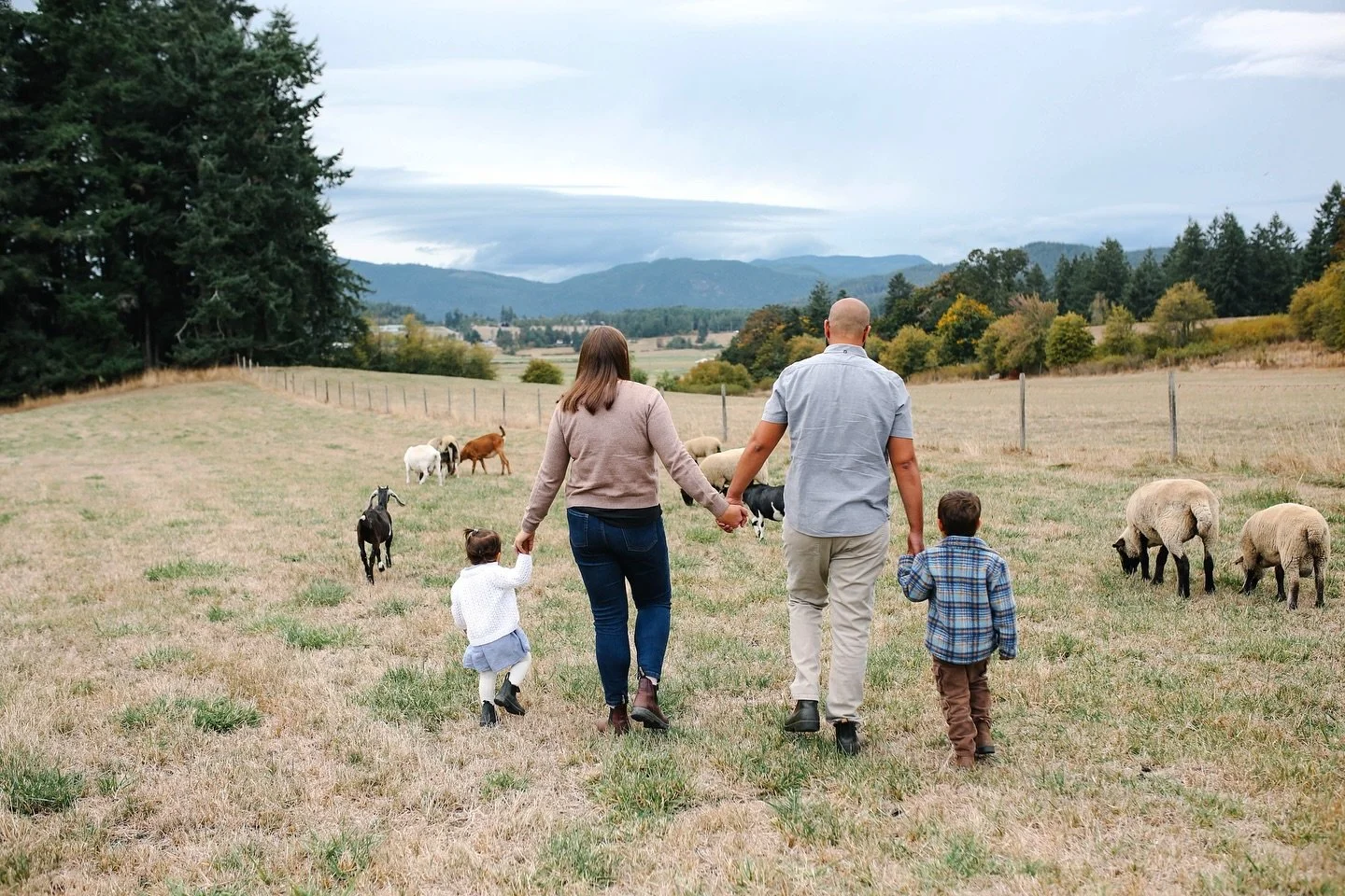Throw back to last weekends adorable farm minis, can&rsquo;t wait to do these again 😍

#kthomphoto #cowichanvalleybc #cowichanvalleyphotographer #farmanimalsofinstagram #farmphotos #maplebayfarm #maplebay #duncanbc #vancouverislandphotographer #yyjp