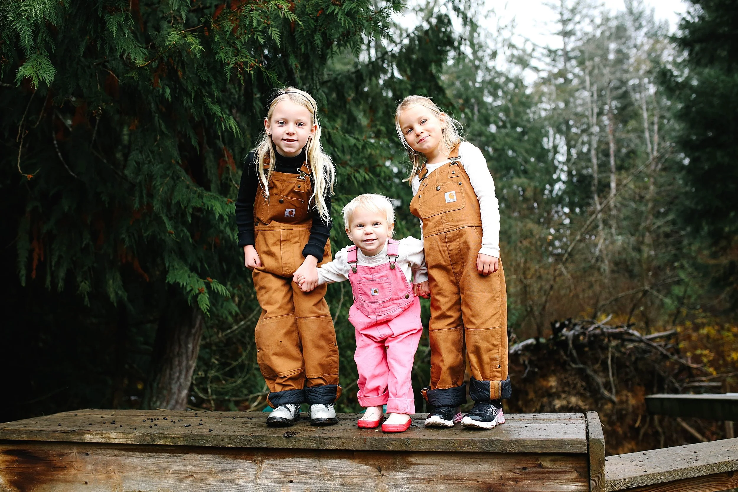 duncanbritishcolumbiafamilyphotographer_0241.jpg