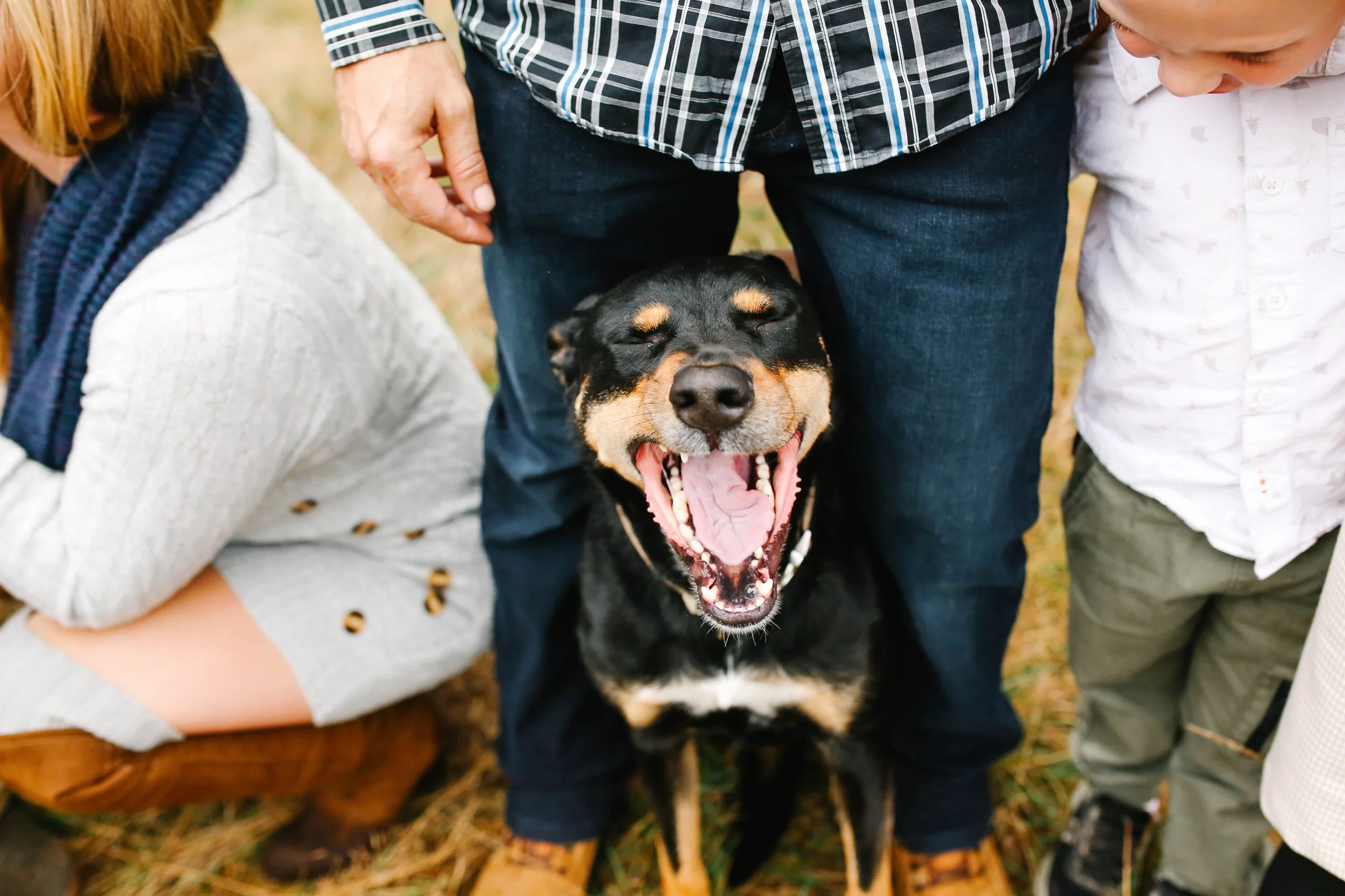I hope you know your dogs are always welcome at your photo sessions. 🤍🐾

They&rsquo;re part of your family, part of your everyday life, and part of the memories you&rsquo;ll want to look back on.

I&rsquo;ll capture their personality just as I&rsqu