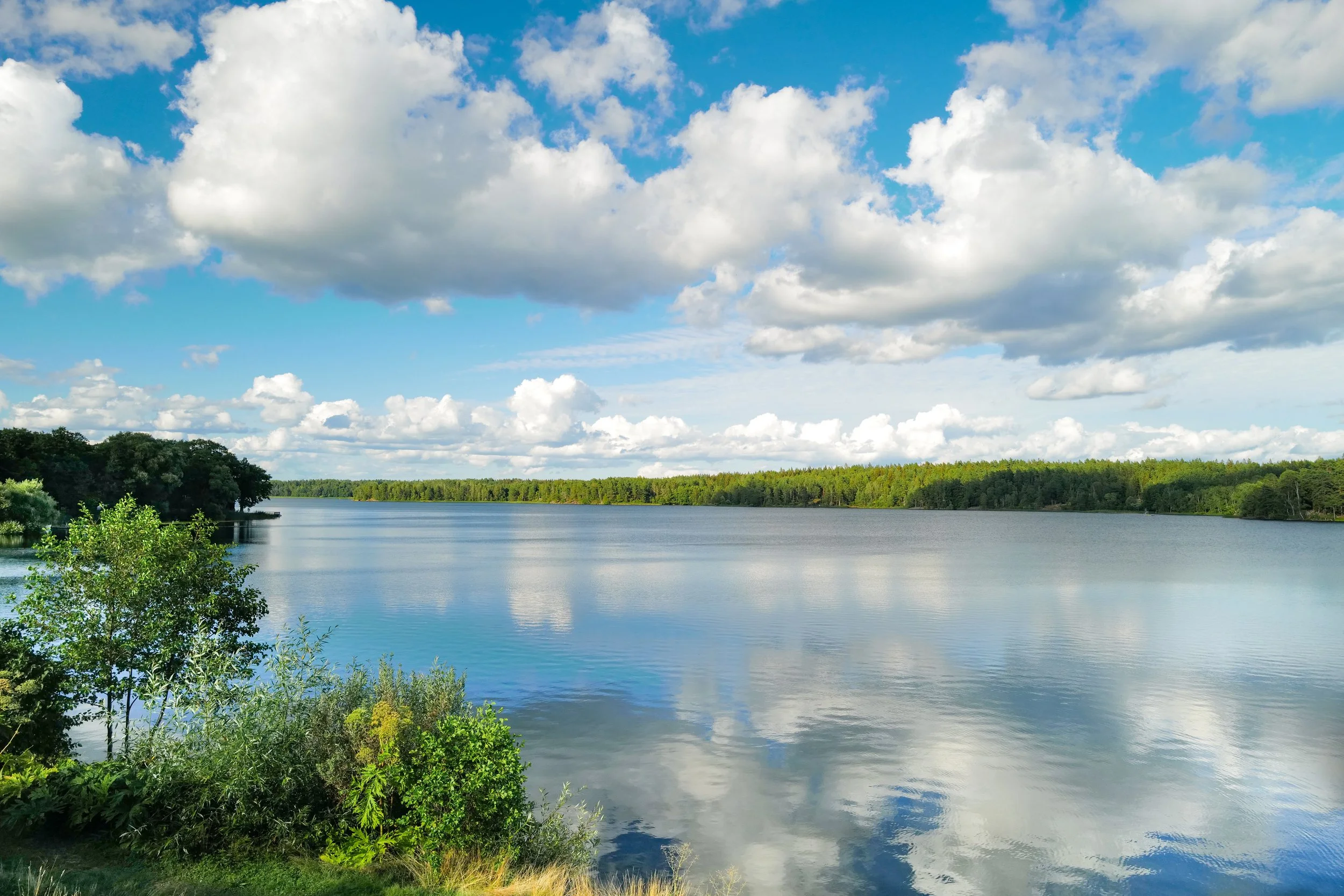 giselle Edited-1010352.jpg