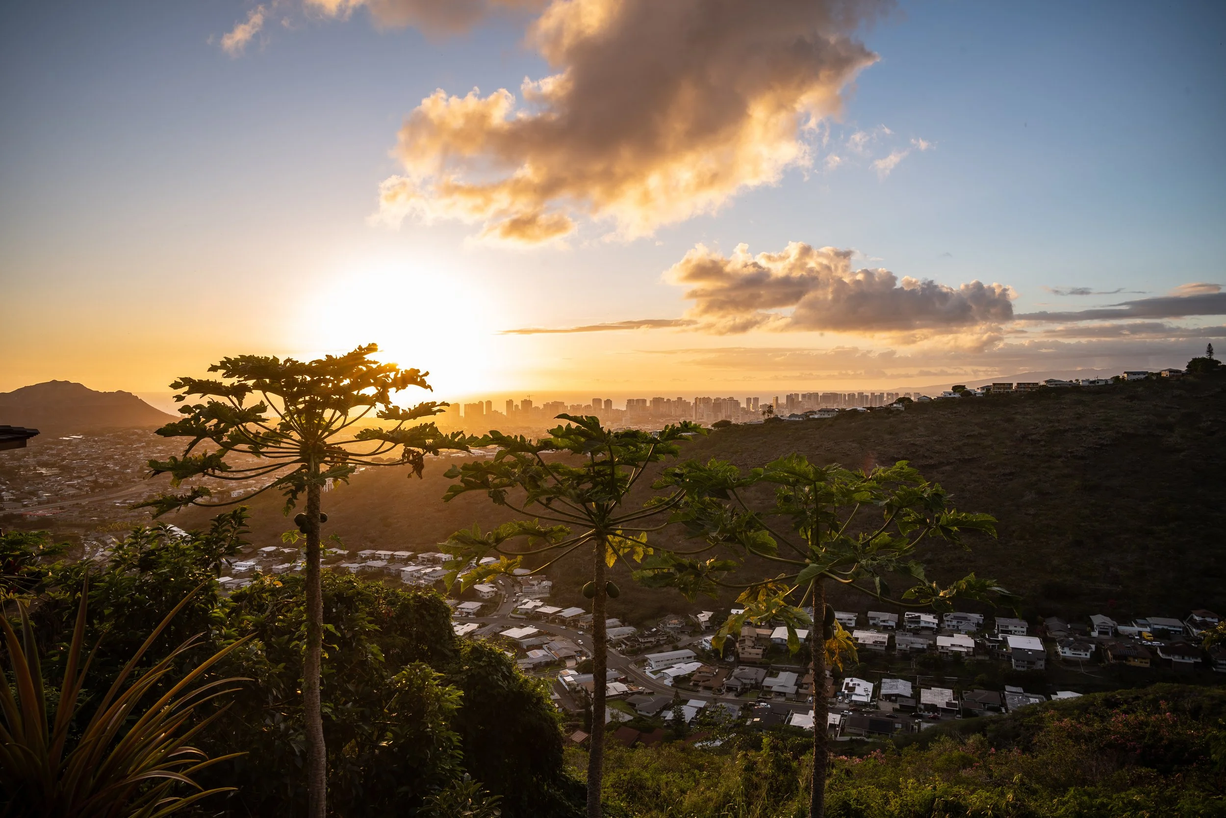 Waikikii-.jpg
