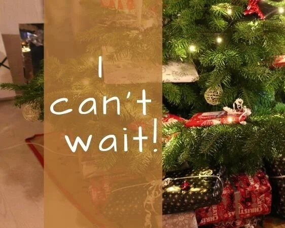 I Can't Wait