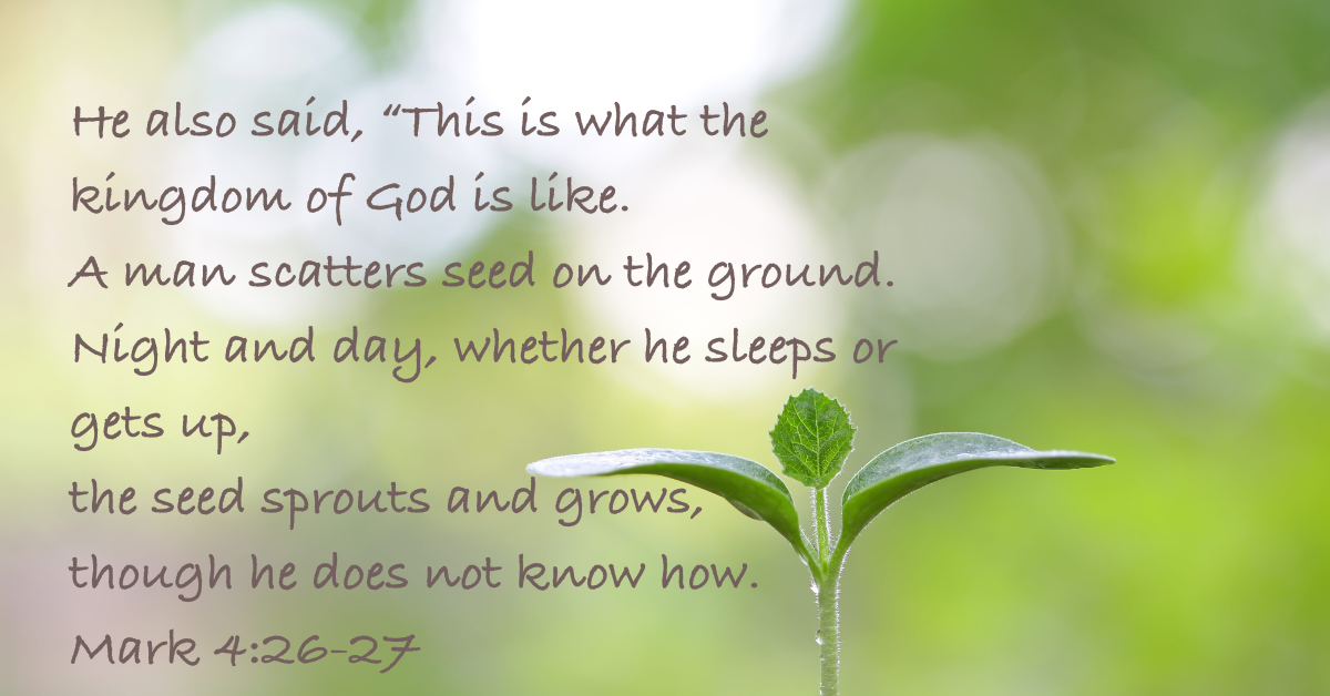 Seeds, God’s Word, and Life