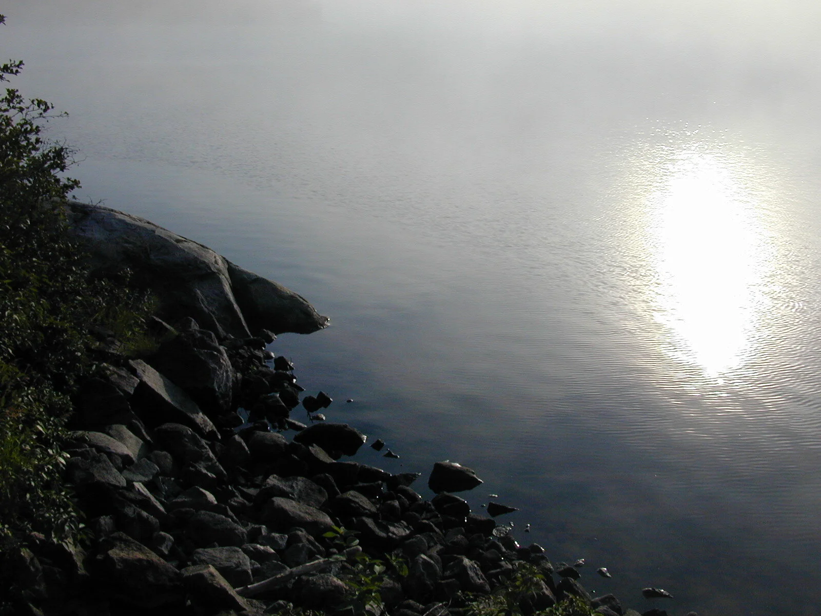 Breathing Life in Solitude