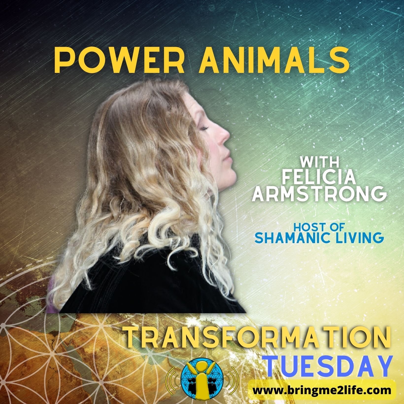 Transformation Tuesday Felicia Power Animals.jpg