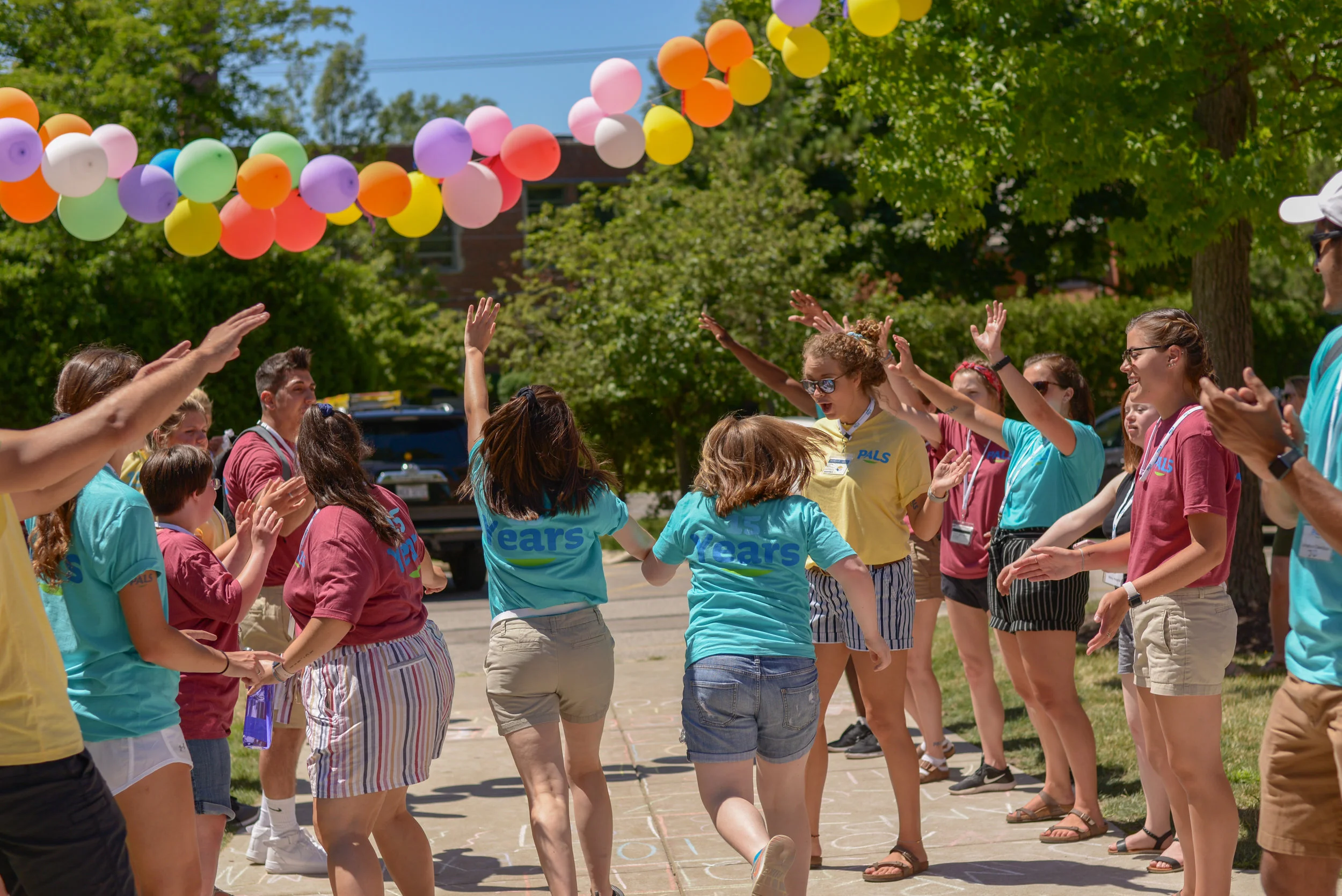 Ways to Get Involved | DSAM