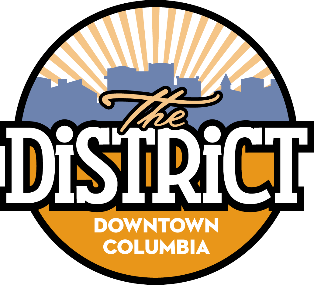 DISTRICT DEFINITION MEANING visual data 3