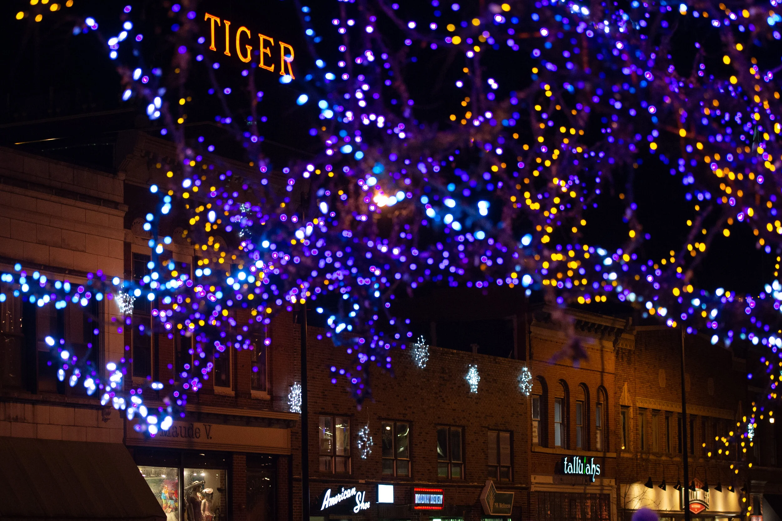 Origins of The District Magic Tree