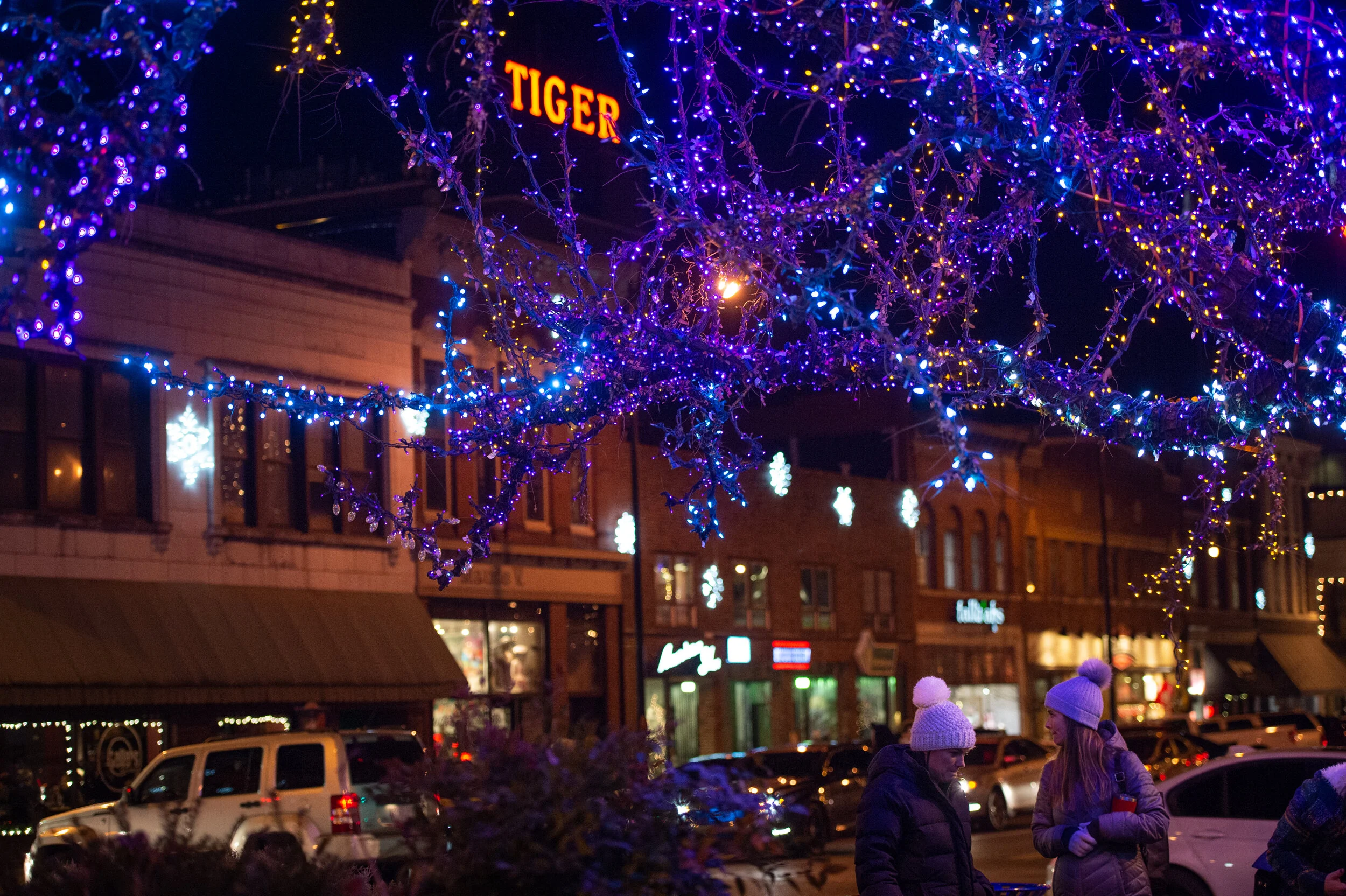 Holiday Shop Hop and Magic Tree Lighting