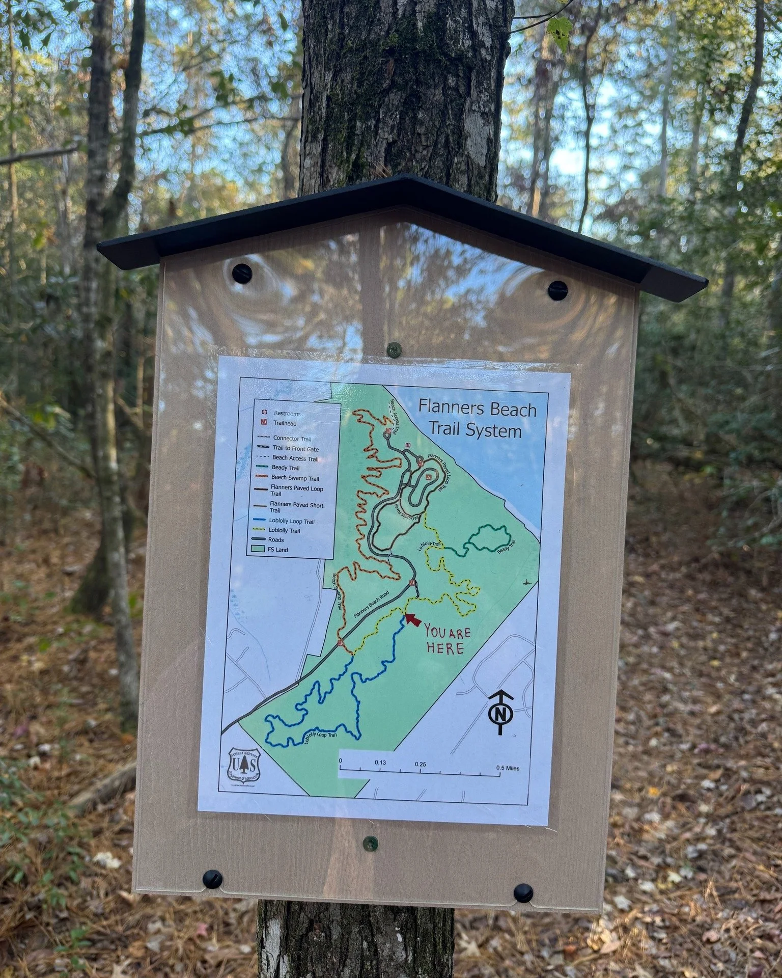 Flanners Beach has a great trail system with recently improved wayfinding as part of the Croatan National Forest. Choose between multiple different walking/biking trails and terrains to see some great views along the way. 

Location: Flanners Beach R