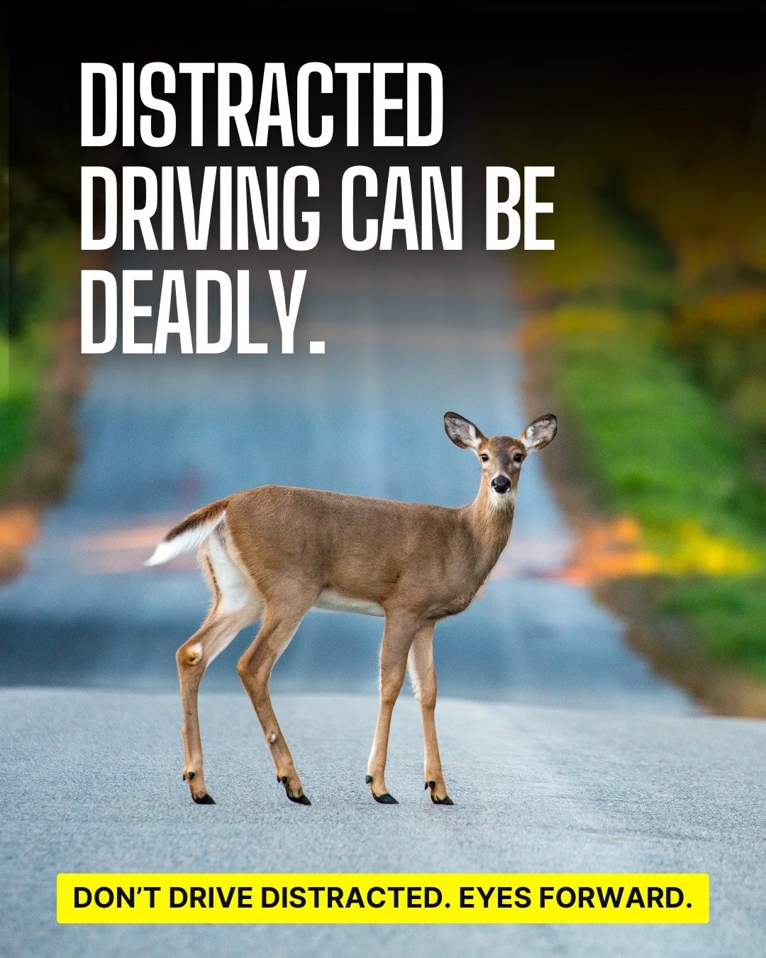 📢 Reality check: Taking your eyes off the road for 5 seconds at 55 mph is like driving the length of a football field blind. This April, lets start habits that can save lives: Silence notifications, set the GPS before hitting the road, keep both han