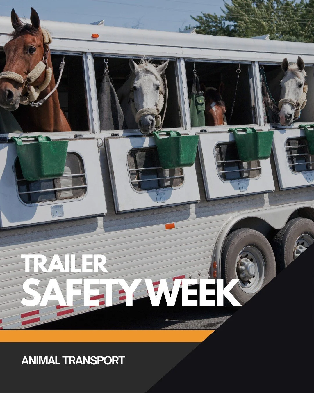 To have a successful trip with your animals there's some extra safety considerations to be aware of. Ensure the trailer is appropriate for the size vehicle and animal. Animals may shift during travel but should have enough space and light inside to m