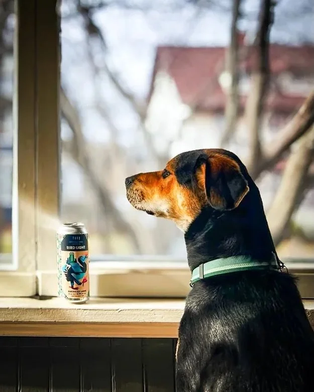 Name a more perfect pairing.🐶🍺 We&rsquo;ll wait...

📸 by @strangebeard our Director of Wood Aged Beers, and model is best girl Sabine.

#dogsofinstagram #birdlight