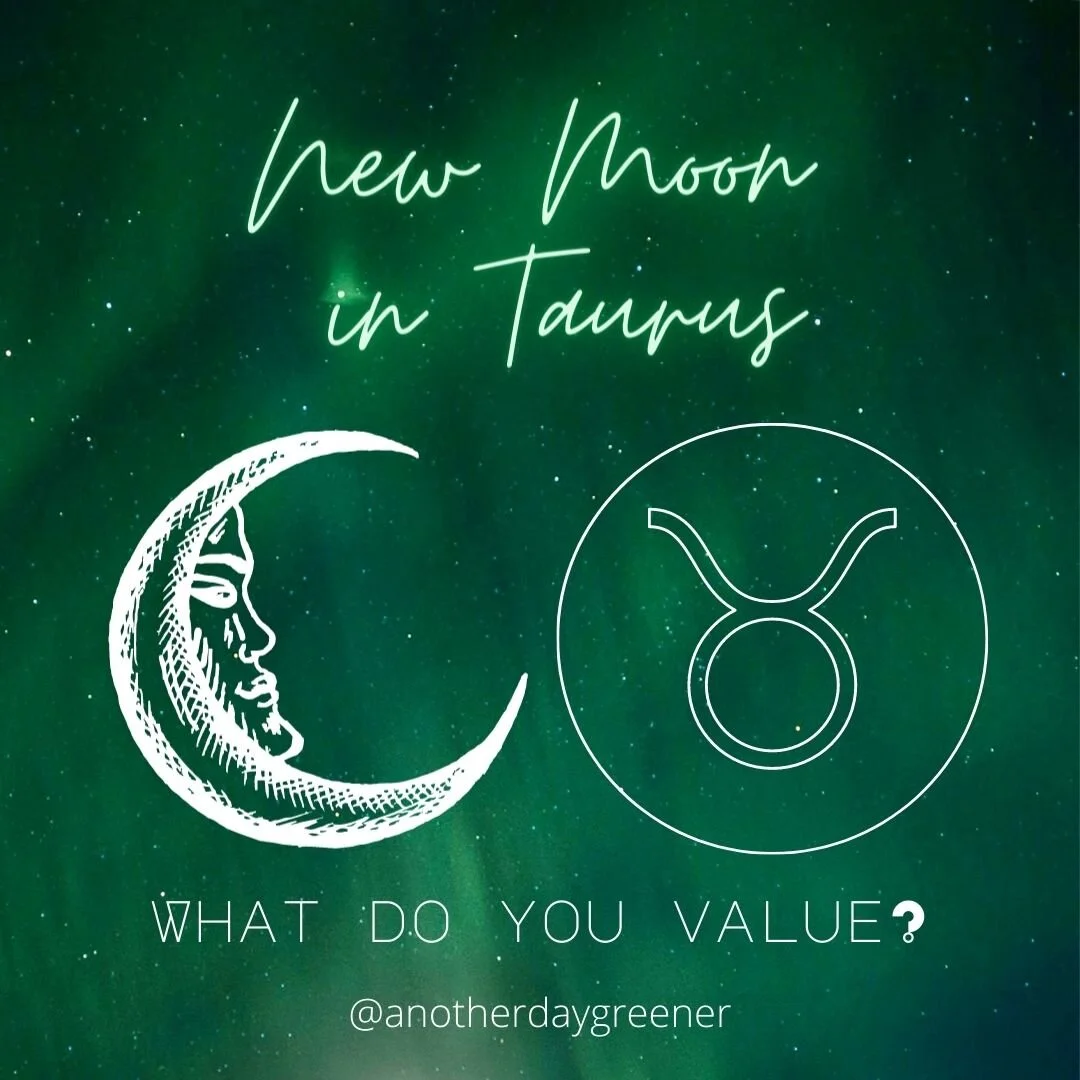 New Moon in Taurus: What Do You Value?
