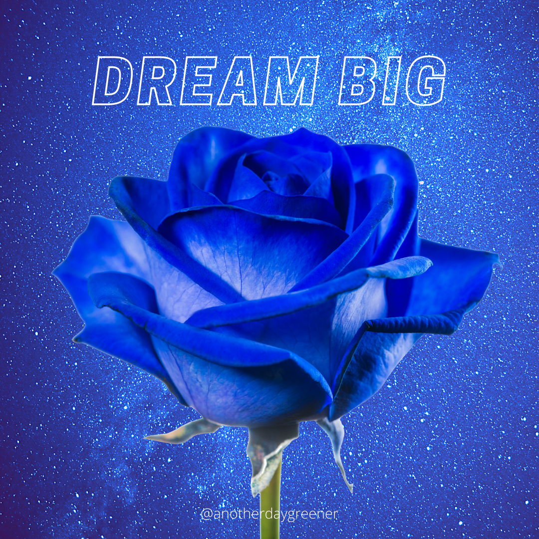 Jupiter + Pisces = Dream Big Energy!