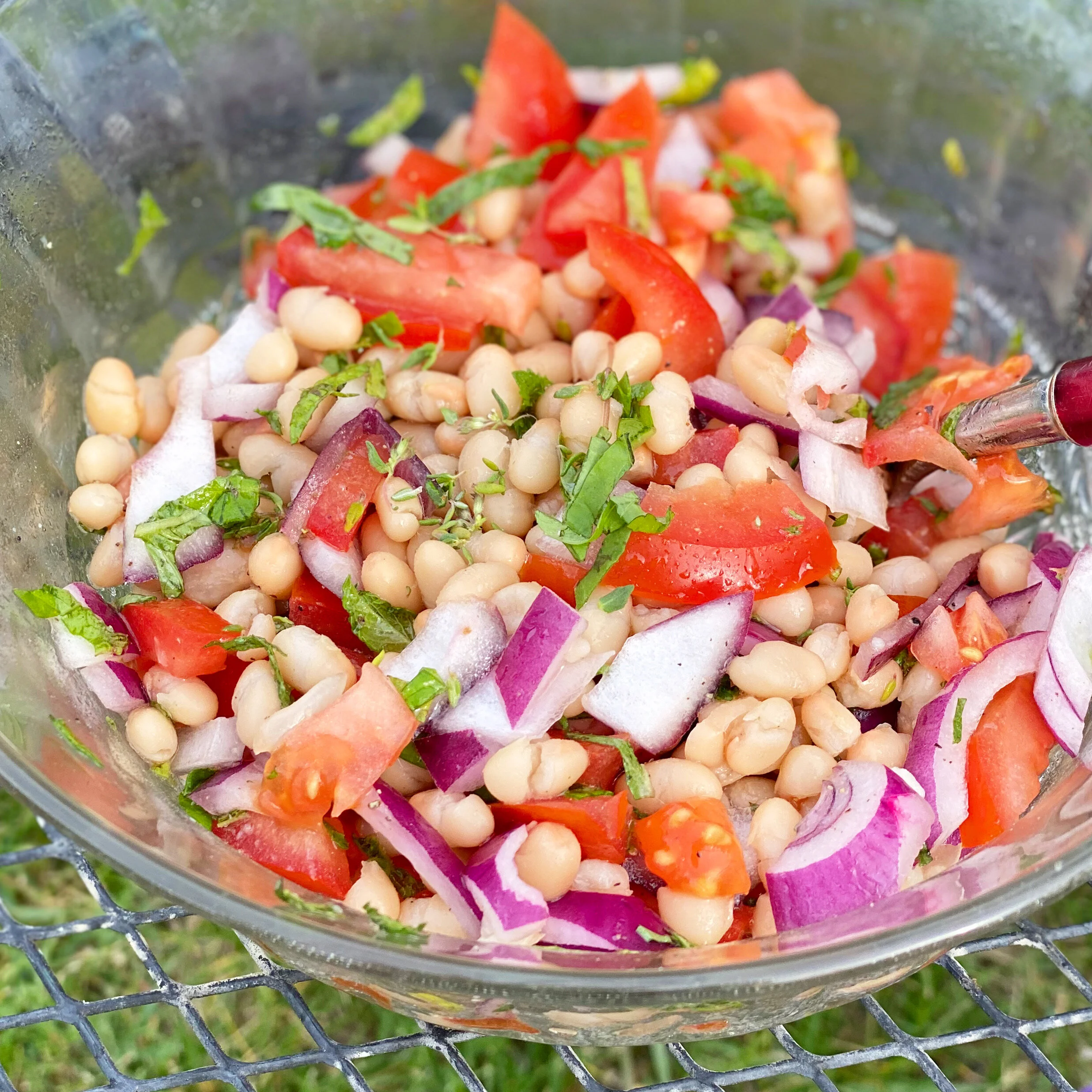 Mediterranean Bean Salad — Another Day Greener Lifestyle & Astrology