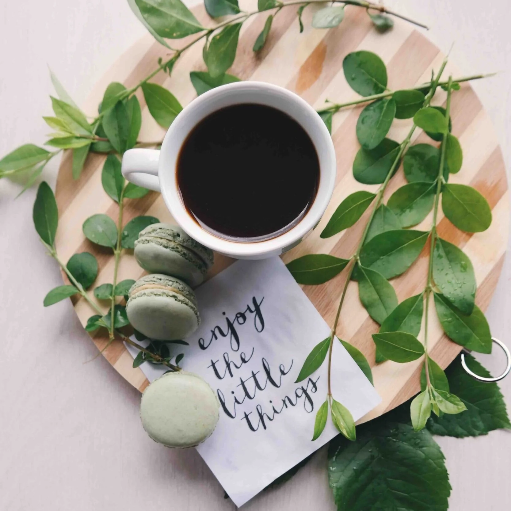 What do you care About? Your moon in the Signs