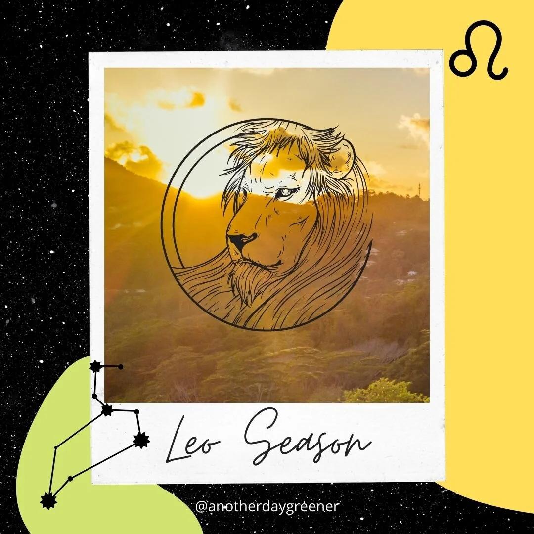 Leo Season: The Lion