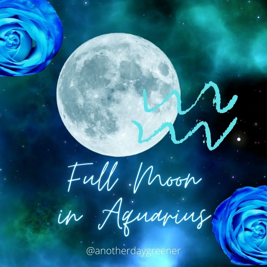 Full Moon in Aquarius 2021