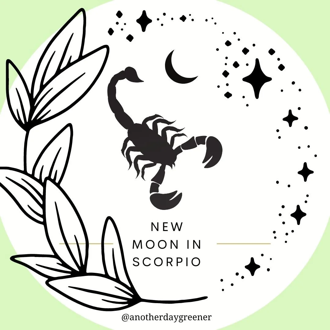 What the New Moon in Scorpio Reveals for Us