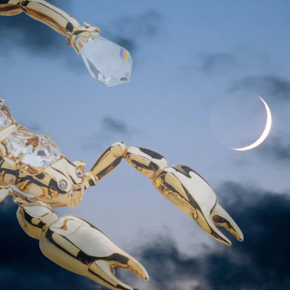 The New Moon in Scorpio - Face your Fears!