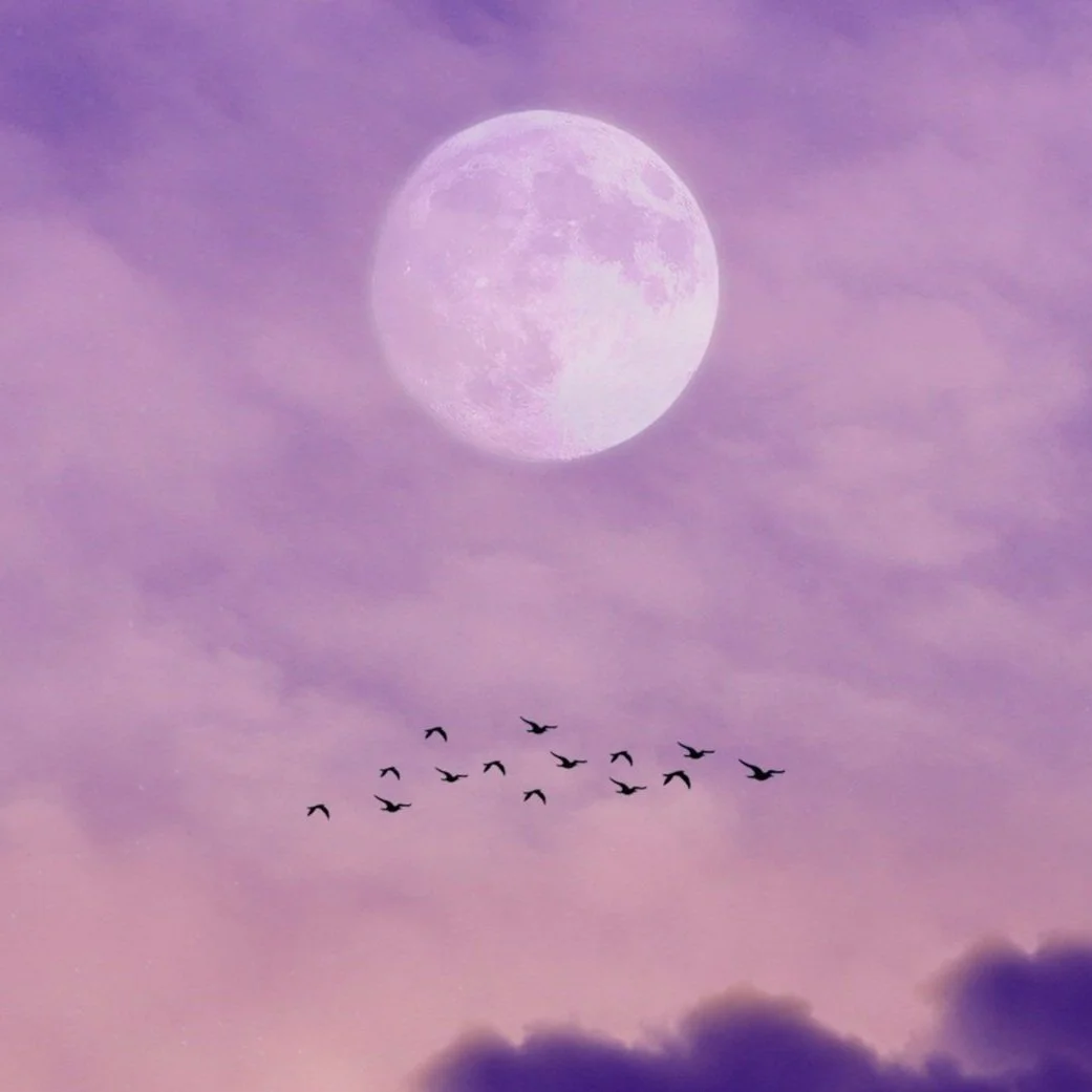 The Full Moon in Libra 2025: Venus Reclaims her Throne