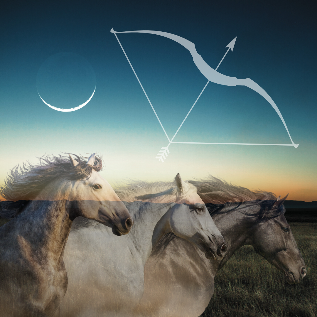 The New Moon in Sagittarius - Luck is on Your Side