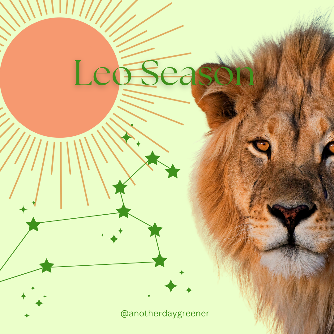 Leo Season: Time to Get Creative!