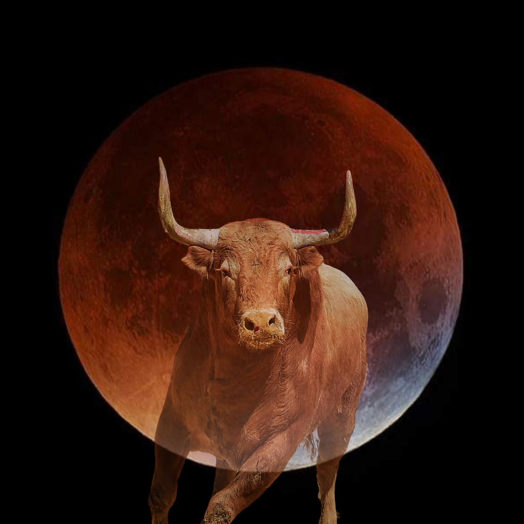 The Lunar Eclipse in Taurus