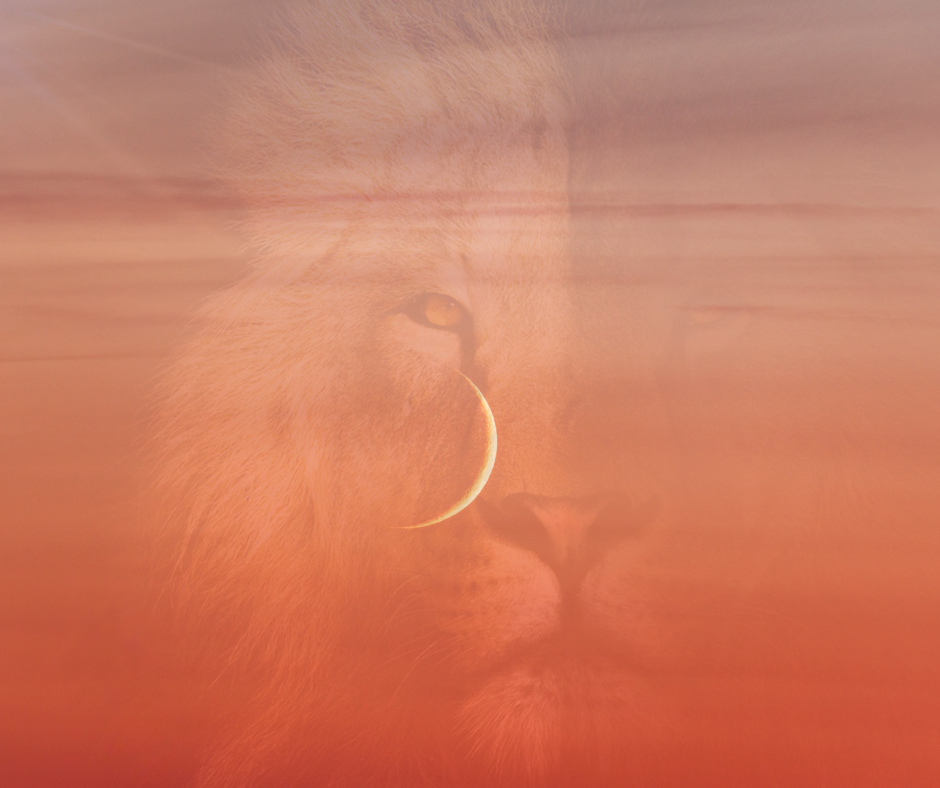 A Candle Ritual for the New Moon in Leo!