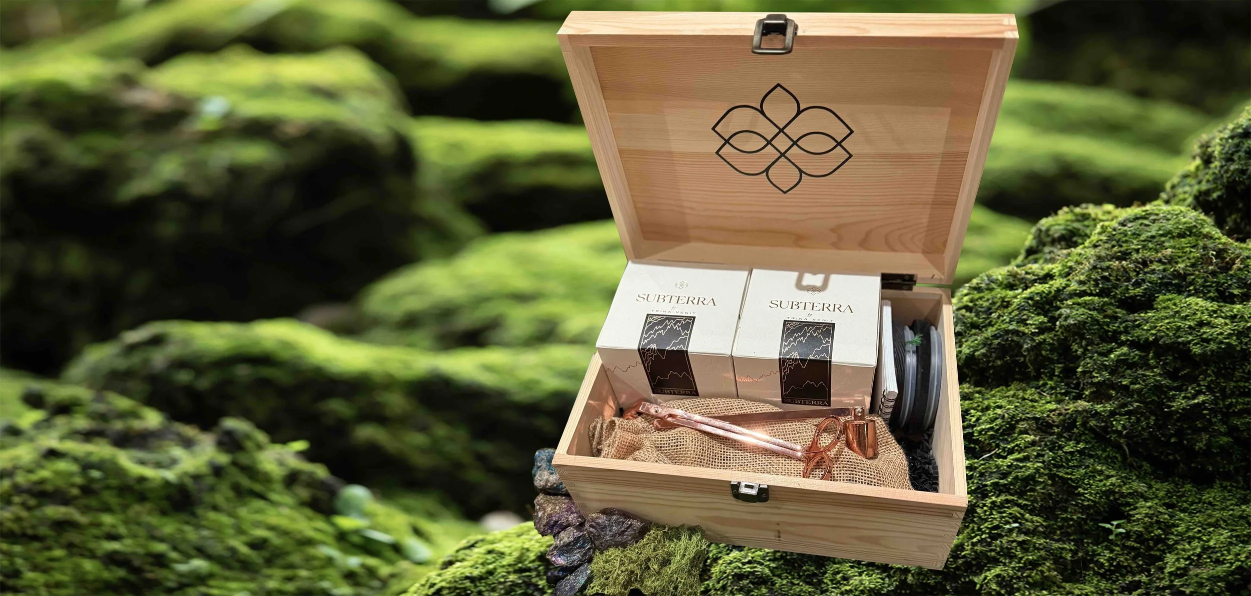 Big box final crop.jpeg