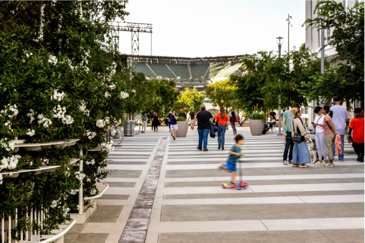 Photo of Dr. Maya Angelou Way (credit Andrea Gaffney)